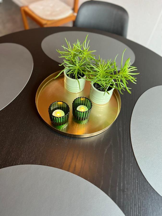 Hyggeligt Lille Anneks Taet Pa Ribe Apartment Luaran gambar